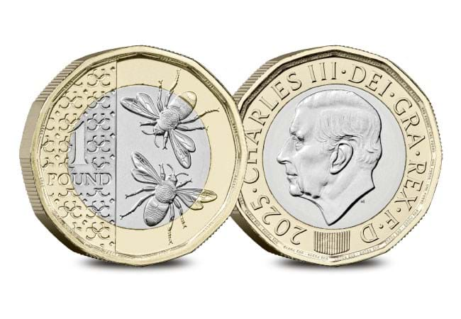 2025 Bee Definitive £1 Brilliant Uncirculated Coin