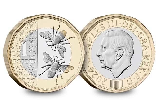 2024 Bee Definitive £1 Brilliant Uncirculated Coin