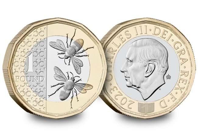 2023 Bee Definitive £1 Brilliant Uncirculated Coin - Copes Coins